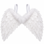 652eef6353ee9202022c23cb762e2940.png